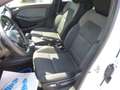 Renault Clio 1,5 dci Experience/Klima/Tempomat/LED/PDC Weiß - thumbnail 14