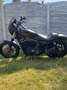 Harley-Davidson Iron 883 - thumbnail 2