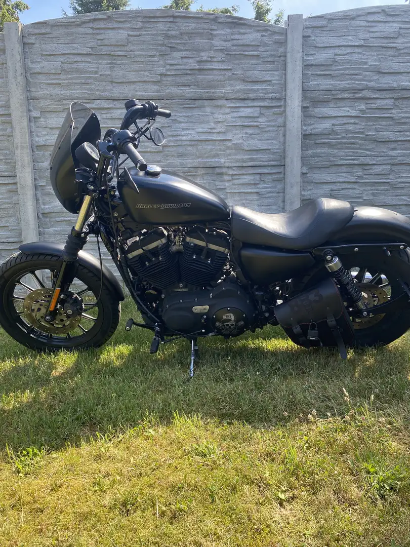Harley-Davidson Iron 883 - 2