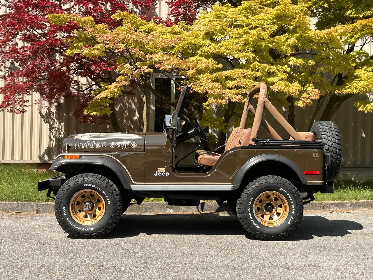 Jeep CJ-5 5.0 GOLDEN EAGLE ORIGINALE CONSERVATA, foto 1