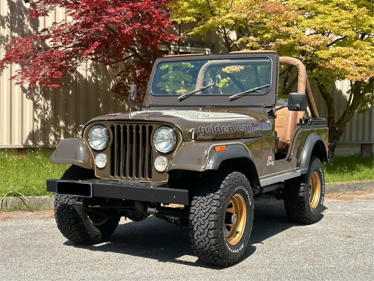 Jeep CJ-5 5.0 GOLDEN EAGLE ORIGINALE CONSERVATA, foto 2