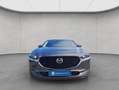 Mazda CX-30 2.0 M-Hybrid Aut. SELECTION Bose + LED Gris - thumbnail 8