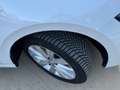 Volkswagen Polo 1.0 TSI Sport 70kW Negro - thumbnail 3