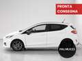 Ford Fiesta Fiesta 1.1 85 CV 5 porte ST-Line - thumbnail 3