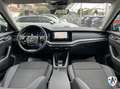 Skoda Octavia Octavia Wagon 2.0 tdi evo Executive 115cv dsg Noir - thumbnail 10