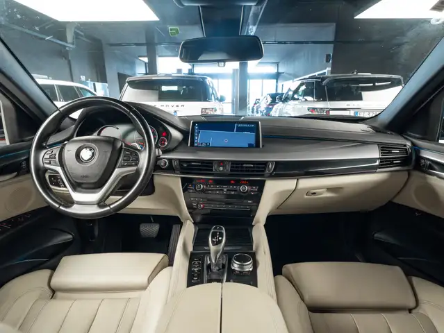 BMW X6 view 10