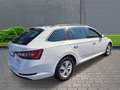 Skoda Superb Combi Ambition 4x4 2.0 TDI+Navi+Alufelgen+Xenon+FS Blanc - thumbnail 4