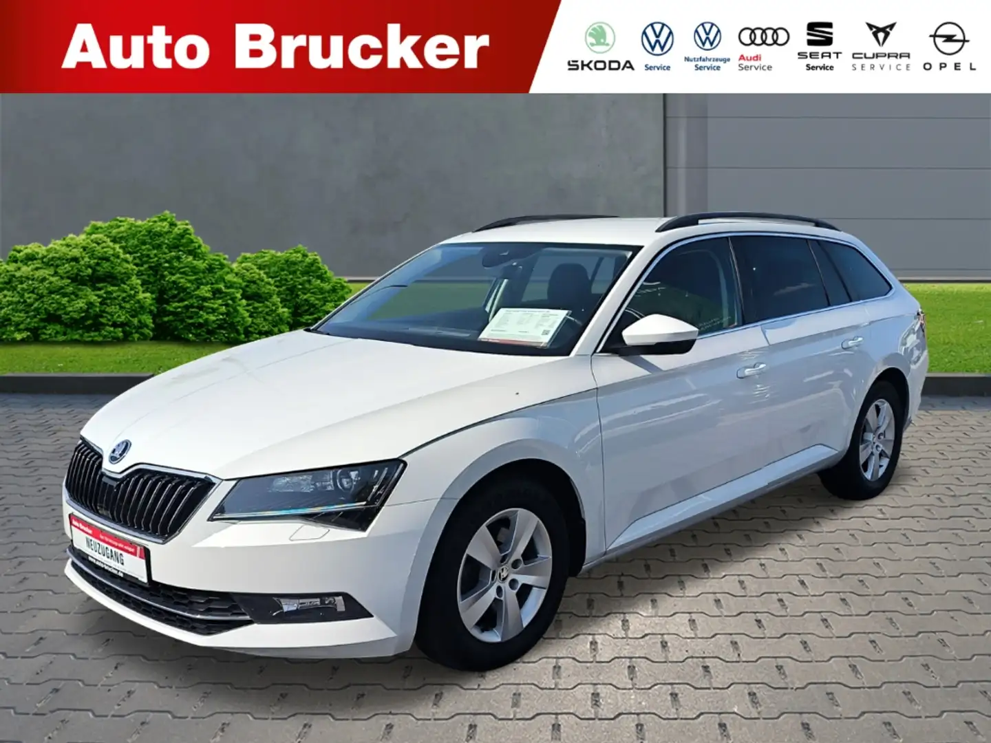 Skoda Superb Combi Ambition 4x4 2.0 TDI+Navi+Alufelgen+Xenon+FS Weiß - 1