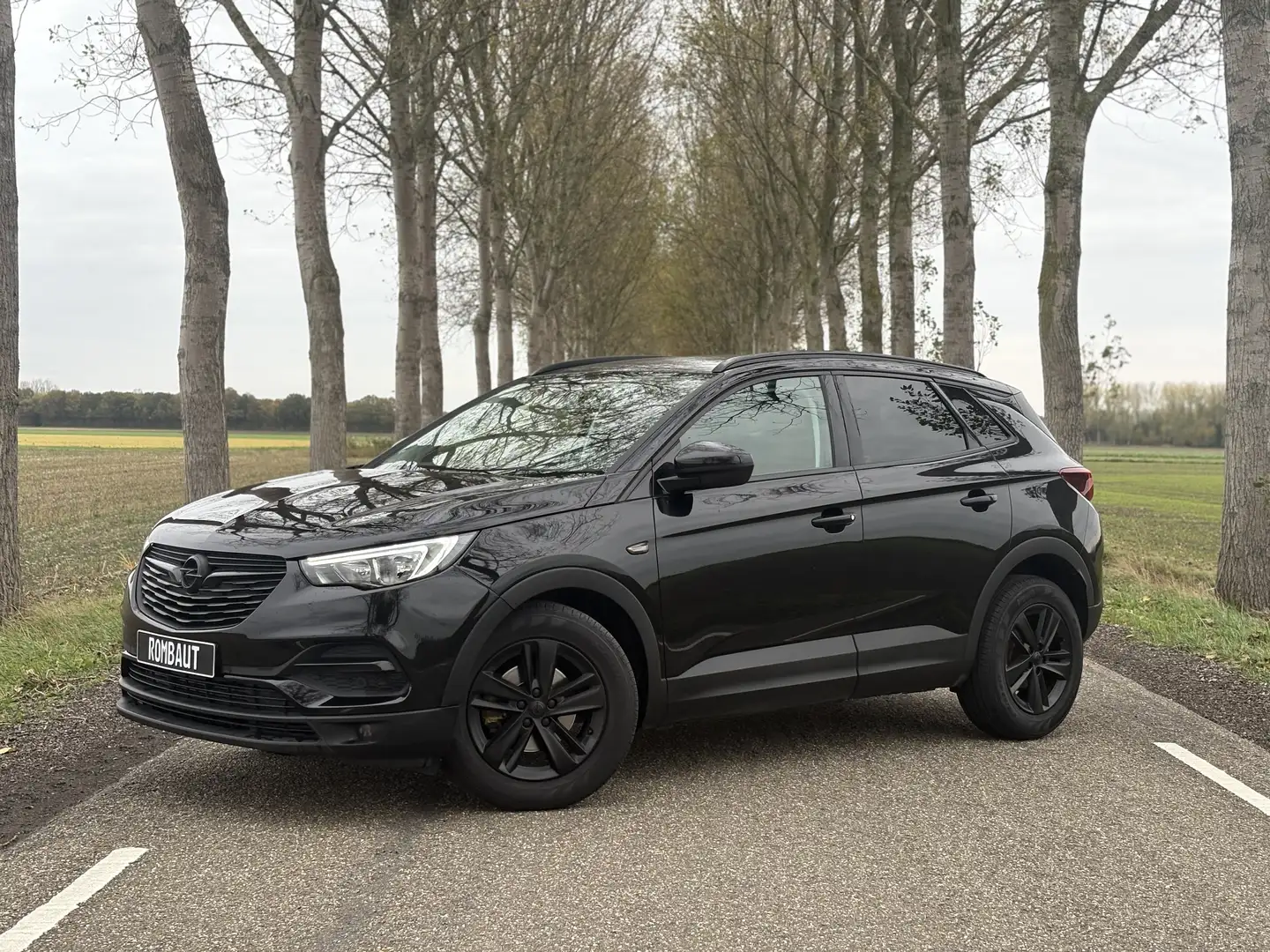 Opel Grandland X 1.2 Turbo / Bj 2018 / 132 DKM / NWE RIEM / LEER - 1