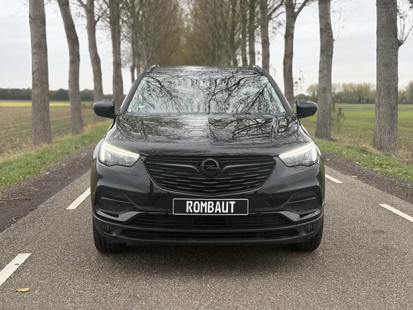 Opel Grandland X 1.2 Turbo / Bj 2018 / 132 DKM / NWE RIEM / LEER - 2