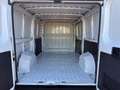 Fiat Ducato 30 115 Multijet L2H1 3,0t (EURO 6) Weiß - thumbnail 16