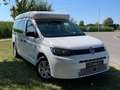 Volkswagen Caddy Caddy 5 Kombi Maxi, Camper mit Zooom Aufstelldach Wit - thumbnail 1