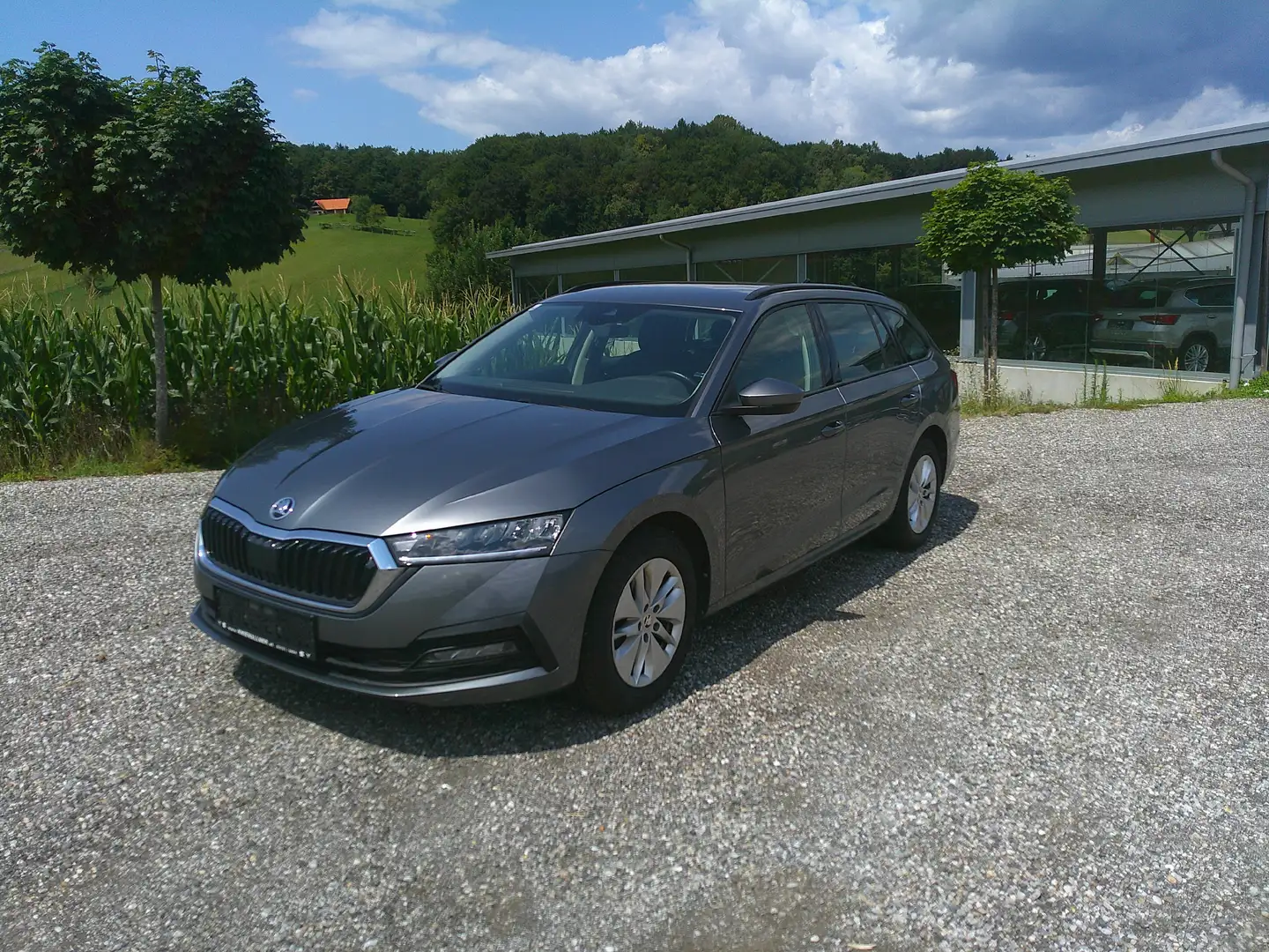Skoda Octavia Combi 1,0 TSI Ambition Grau - 1