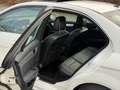 Mercedes-Benz C 250 C 250 CGI BlueEFFICIENCY Avantgarde Blanc - thumbnail 14