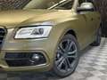 Audi SQ5 3.0 V6 TDI quattro Audi exclusive *Weihnachtsa Grün - thumbnail 5