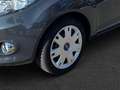 Ford Fiesta 1.4 Autom. Trend NUR GEWERBE Grigio - thumbnail 10