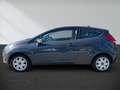 Ford Fiesta 1.4 Autom. Trend NUR GEWERBE Grigio - thumbnail 9