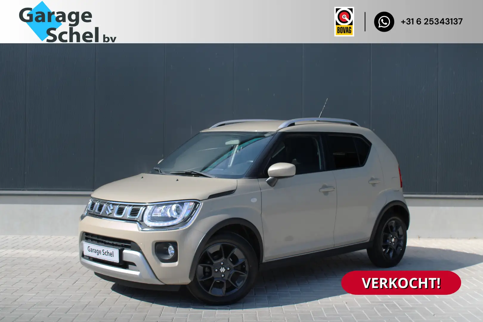 suzuki ignis