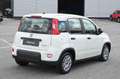 Fiat Panda 1.0 FireFly S&S Hybrid Bianco - thumbnail 5