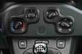 Fiat Panda 1.0 FireFly S&S Hybrid Bianco - thumbnail 19