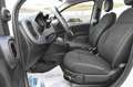 Fiat Panda 1.0 FireFly S&S Hybrid Bianco - thumbnail 13