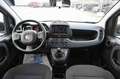 Fiat Panda 1.0 FireFly S&S Hybrid Bianco - thumbnail 11