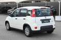 Fiat Panda 1.0 FireFly S&S Hybrid Bianco - thumbnail 7