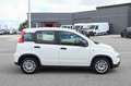 Fiat Panda 1.0 FireFly S&S Hybrid Bianco - thumbnail 4