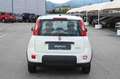 Fiat Panda 1.0 FireFly S&S Hybrid Bianco - thumbnail 6