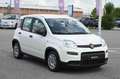 Fiat Panda 1.0 FireFly S&S Hybrid Bianco - thumbnail 3