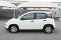 Fiat Panda 1.0 FireFly S&S Hybrid Bianco - thumbnail 8