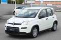 Fiat Panda 1.0 FireFly S&S Hybrid Bianco - thumbnail 1