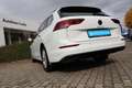 Volkswagen Golf Variant 2,0 TDI DSG Pano elektr.Heckkl. LED Weiß - thumbnail 11