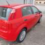 Fiat Grande Punto 1,4 75 S  Neue Kupplung Pickerl  Service - thumbnail 4