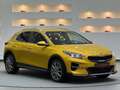 Kia XCeed 1,6 CRDI 48V Platin DCT Platin*Sondermodell* Gelb - thumbnail 6