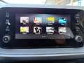 Skoda Fabia 1.0 TSI 130 Jahre*Klima*SHZ*Smartl.*SOFORT Grau - thumbnail 20