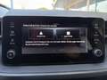 Skoda Fabia 1.0 TSI 130 Jahre*Klima*SHZ*Smartl.*SOFORT Grau - thumbnail 18