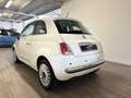 Fiat 500 500 III 1.2 Lounge 69cv NEOPATENTATI Blanc - thumbnail 5