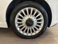 Fiat 500 500 III 1.2 Lounge 69cv NEOPATENTATI Wit - thumbnail 23