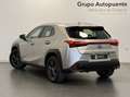 Lexus UX 250h BUSINESS Gris - thumbnail 4