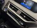 Lexus UX 250h BUSINESS Gris - thumbnail 28