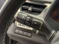 Lexus UX 250h BUSINESS Gris - thumbnail 19