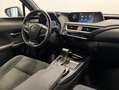 Lexus UX 250h BUSINESS Gris - thumbnail 11