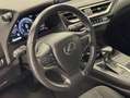 Lexus UX 250h BUSINESS Gris - thumbnail 17