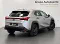 Lexus UX 250h BUSINESS Gris - thumbnail 3