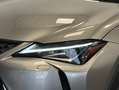 Lexus UX 250h BUSINESS Gris - thumbnail 34