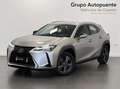 Lexus UX 250h BUSINESS Gris - thumbnail 6