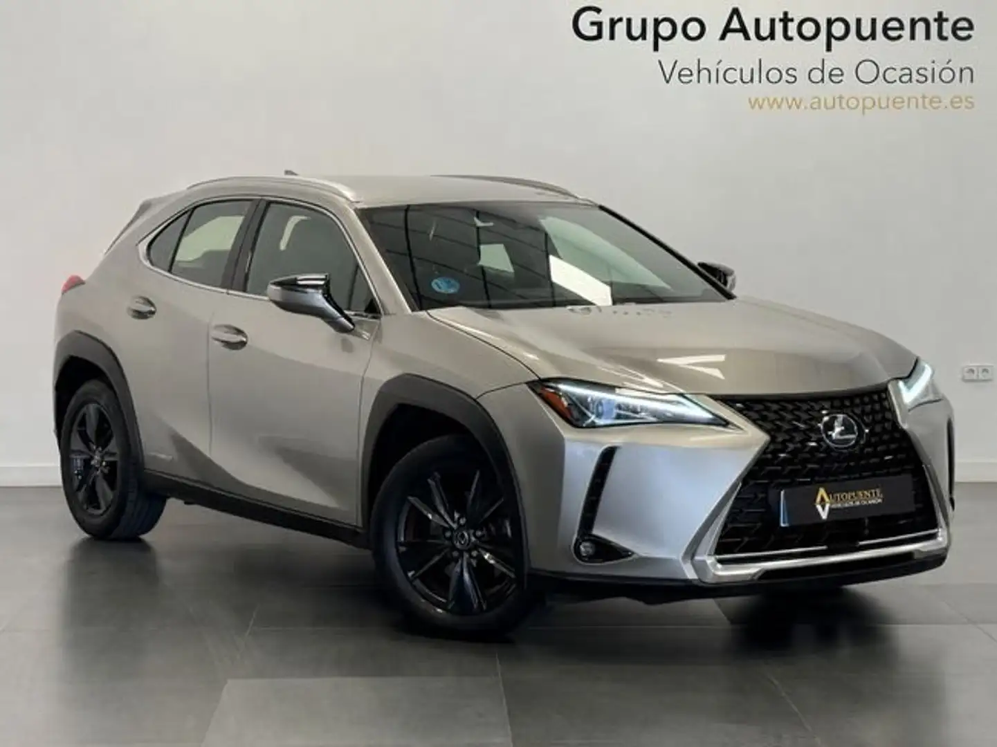 Lexus UX 250h BUSINESS Gris - 1