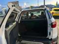 Ford EcoSport 1.5 TDCi 95 CV Titanium EURO 6 Bianco - thumbnail 10