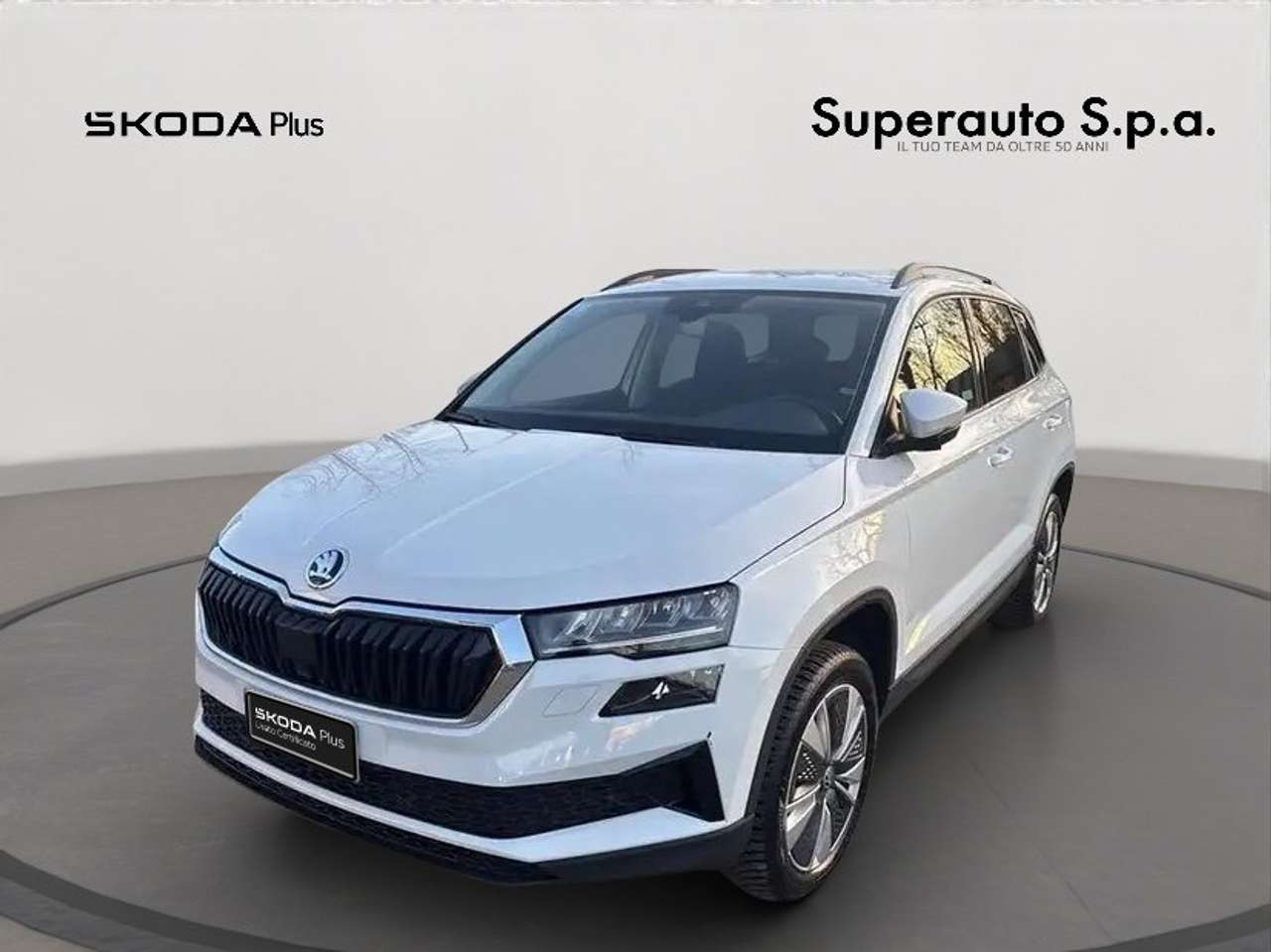 Skoda Karoq Karoq 1.0 TSI 110 CV Executive